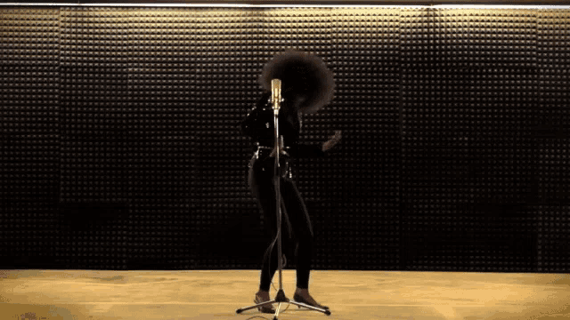 a woman with a large afro stands in front of a microphone in a dark room