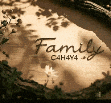 a sign that says family c4h4y4 on it
