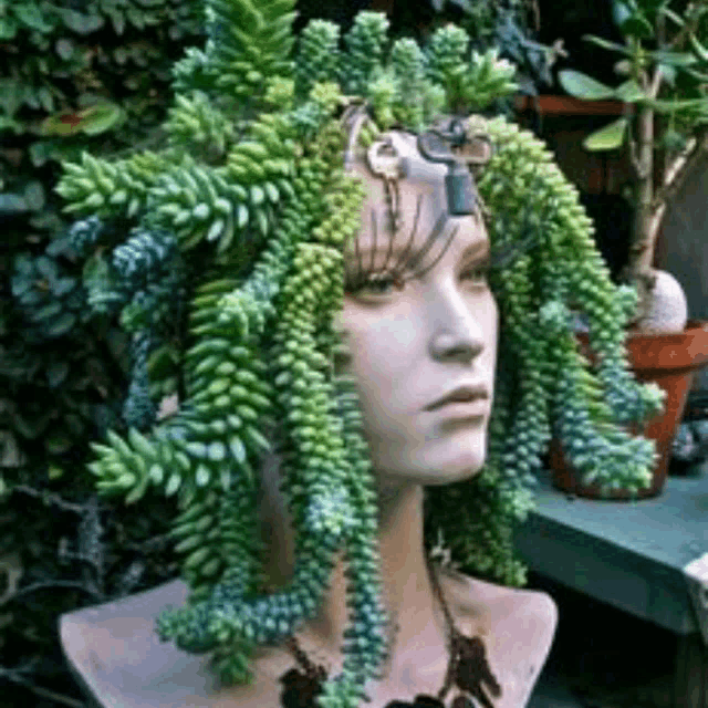 a mannequin head with a plant growing out of it 's head