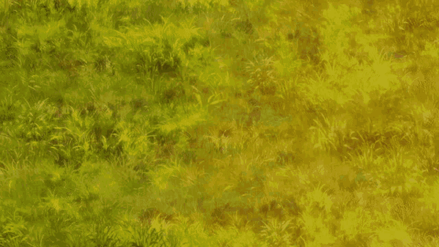 a person 's hand is reaching out to touch the grass
