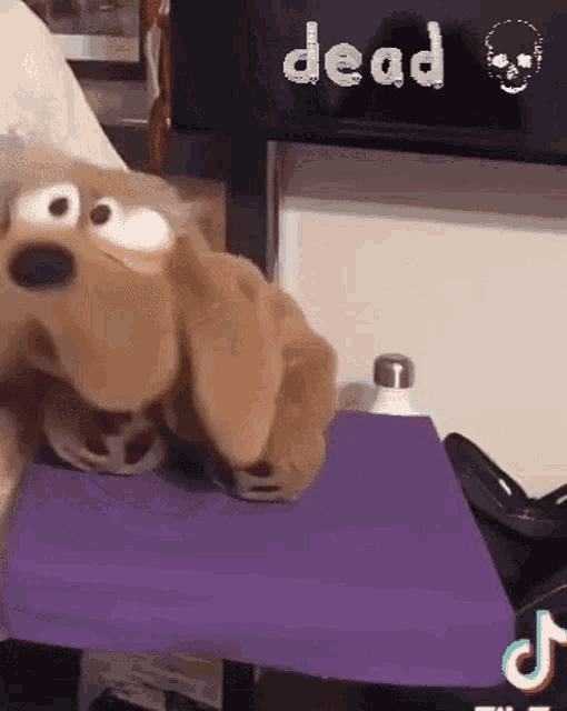 a stuffed dog is sitting on a purple cushion with the word dead written on the screen behind it