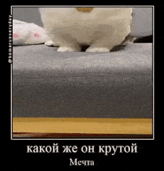 a white rabbit is standing on a couch in a picture frame .