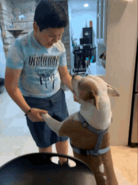 a boy in a vistamar shirt petting a brown and white dog