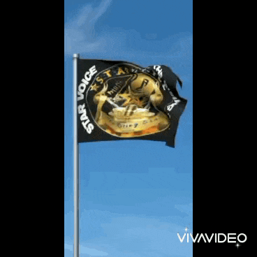 a black and gold flag with the words " star voice " on it
