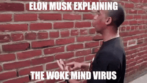 elon musk is explaining the woke mind virus in front of a brick wall