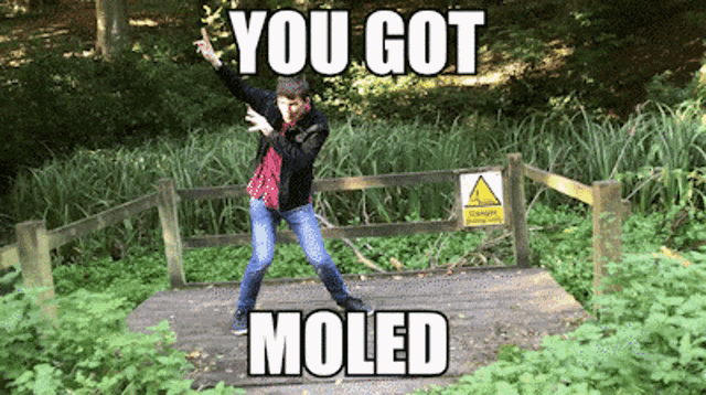 Moled You Got Moled GIF - Moled You Got Moled Molepatrol GIFs