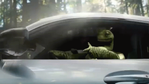 Turtle Wins GIF - Mercedes Benz Turtle Superbowl Ad GIFs