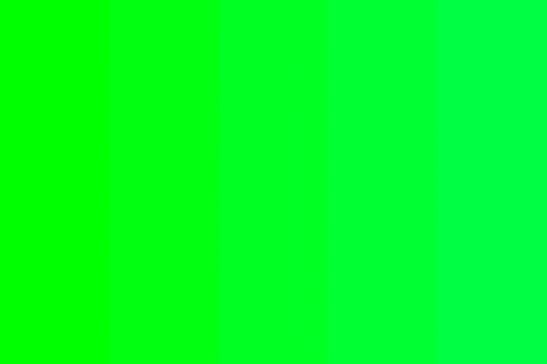 a green screen with a lot of lines on it