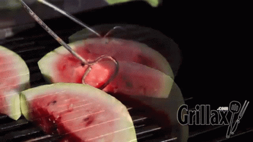 Grillax Recipes GIF - Grillax Recipes Watermelon GIFs