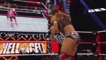 two women are wrestling in a ring with a sign that says hell in the cell