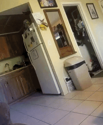a kitchen with a fridge and a trash can and a mirror