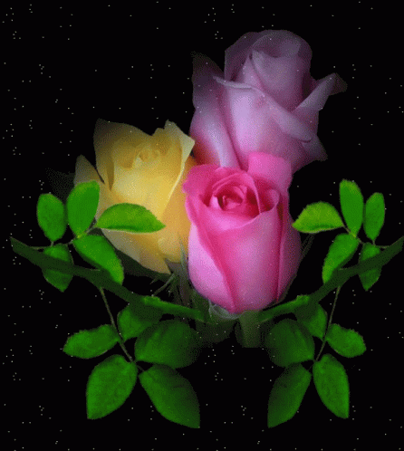 Roses For You GIF - Roses For You Sparkles GIFs