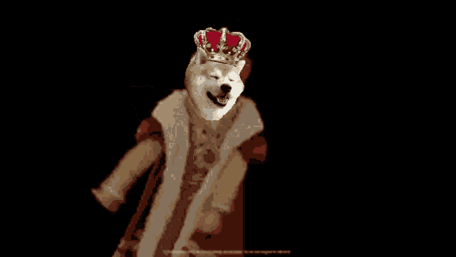 a dog with a crown on its head and a coat
