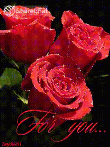 For You गुलाब GIF - For You गुलाब रोज़ GIFs