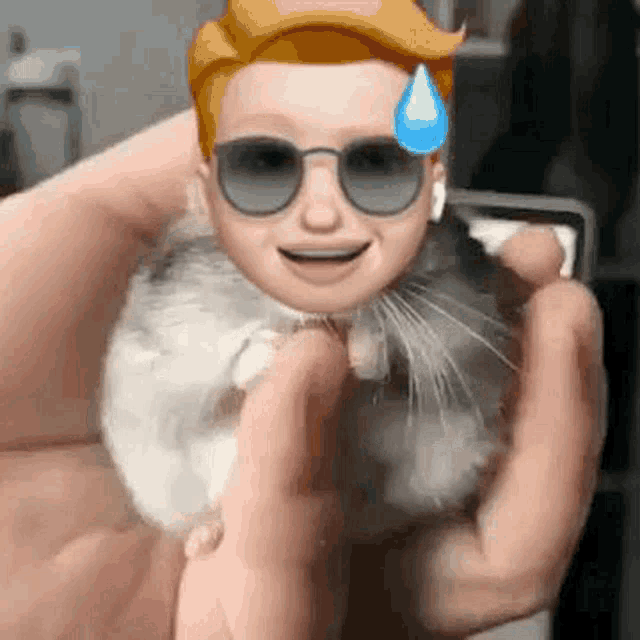 a person is holding a hamster in their hands with an emoji of a man wearing sunglasses .