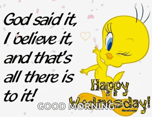 tweety says " god said it i believe it and that 's all there is to it happy wednesday "