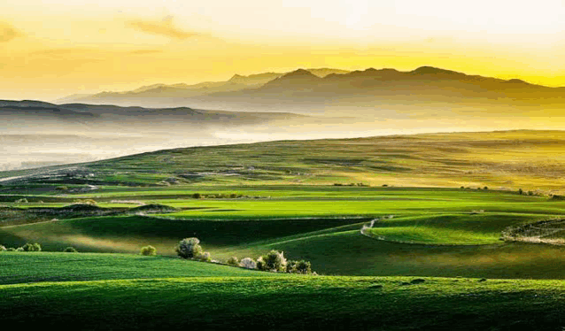 a green field with mountains in the background at sunset