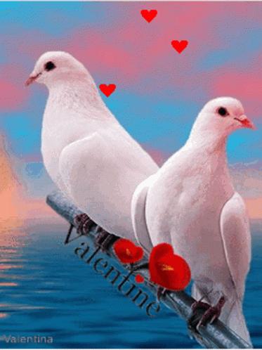 Lalit Bird GIF - Lalit Bird Hearts GIFs