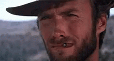 Clint Eastwood Cowboys GIF - Clint Eastwood Cowboys Cat GIFs
