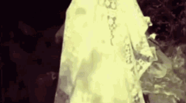 a ghost in a white dress is standing in the dark .