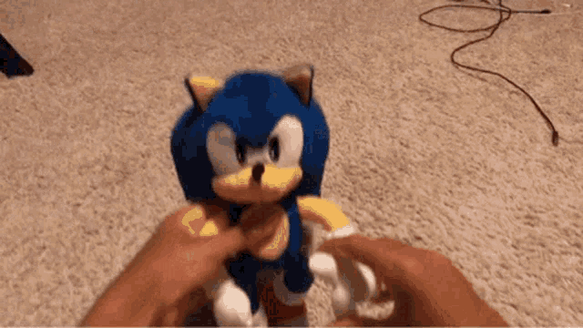 a person is holding a stuffed sonic the hedgehog toy on a carpet .