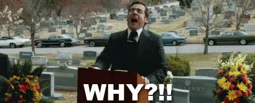Why GIF - Anchorman2 Stevecarell Why GIFs