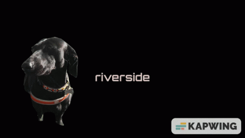 Riverside GIF - Riverside GIFs