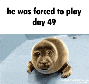a picture of a seal with the words he was forced to play day 49