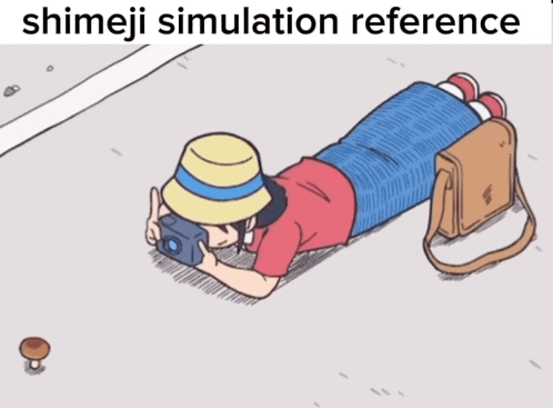 a cartoon of a person taking a picture with the words shimeji simulation reference below