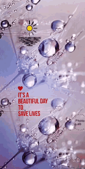 Lovely Day Beautiful Day To Save Lives GIF - Lovely Day Beautiful Day To Save Lives Save Life GIFs