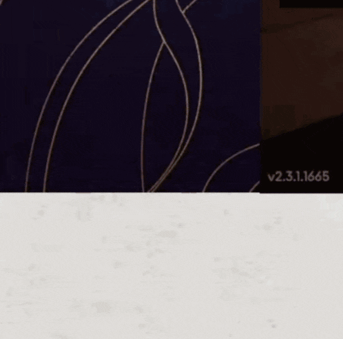 a close up of a person 's hair with the numbers v2.3.1.1665 visible