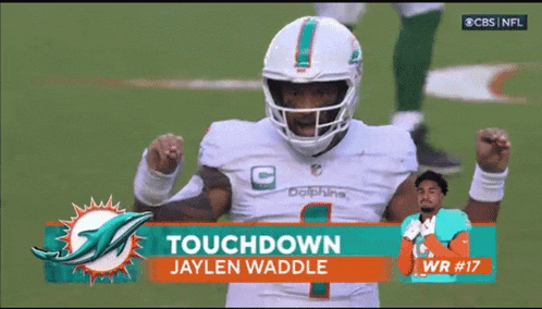 a dolphins football player named jaylen waddle is celebrating a touchdown