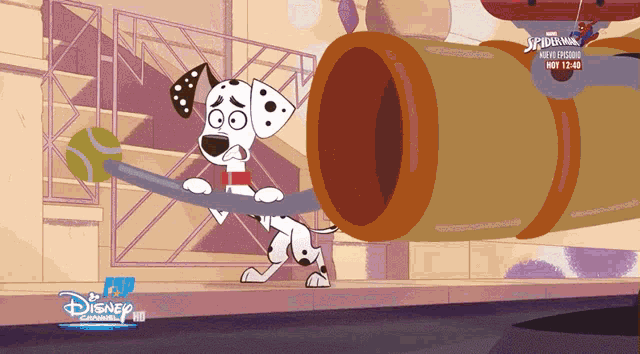 a dalmatian holding a tennis ball in front of a spider-man tube