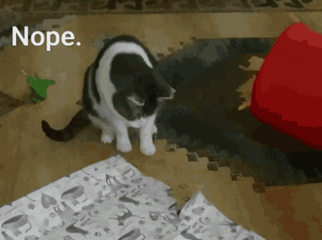 a black and white cat is playing with a toy and the word nope is on the bottom right