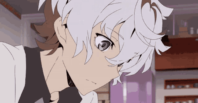 a close up of a person with white hair and brown eyes