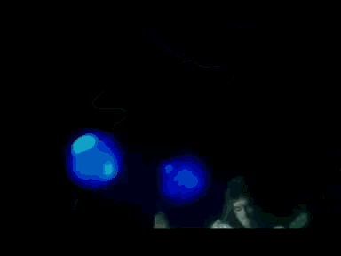 a close up of a man 's neck with a blue background