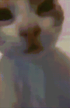 a close up of a cat 's face with a grid pattern on it