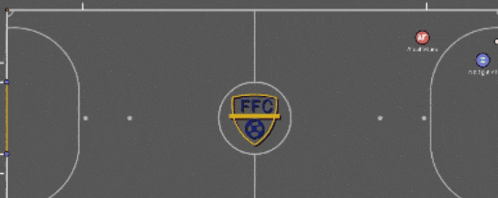 a soccer field with a logo for ffc in the center