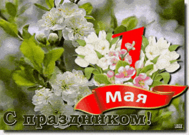 a greeting card with flowers and a red ribbon that says may on it