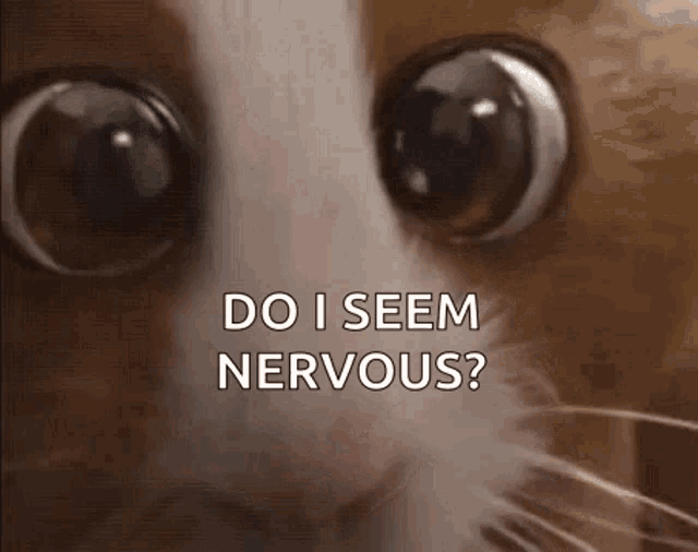 a close up of a cat 's eyes with the words `` do i seem nervous '' written in the background .