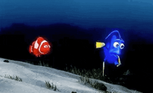 a red clown fish and a blue fish are swimming in the ocean .