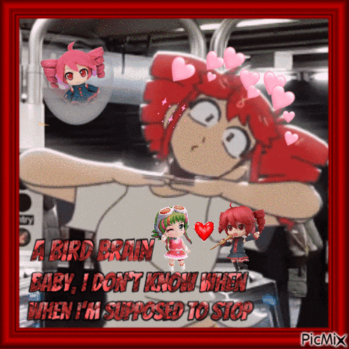 a picture of a bird brain baby i don 't know when i 'm supposed to stop by picmix