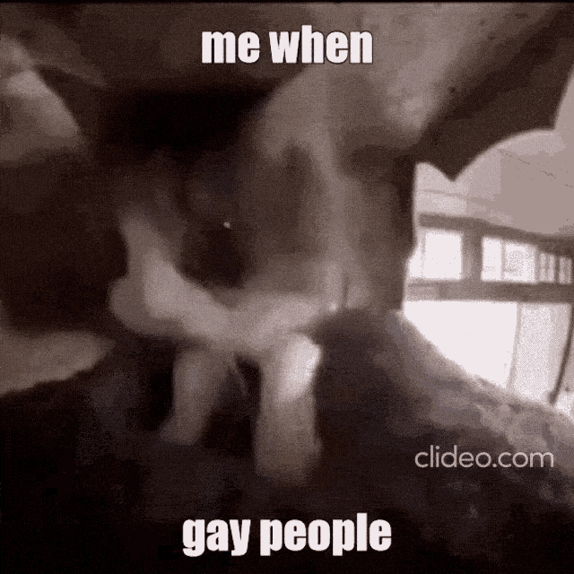 a picture of a cat with the words me when gay people written on it