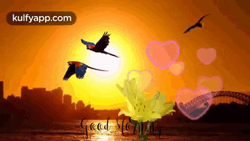 two parrots flying over a body of water with hearts and the words good morning