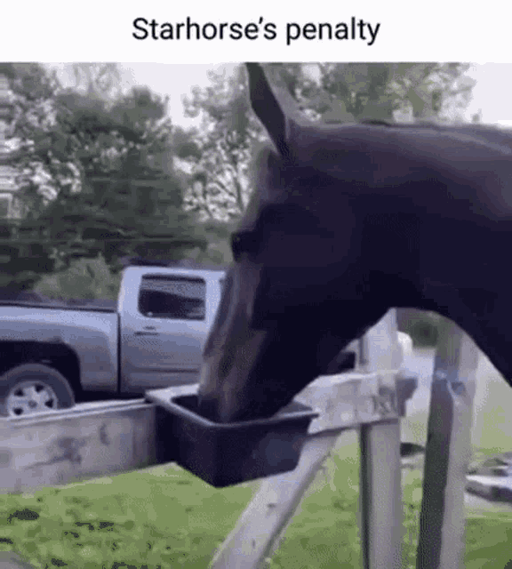 a horse is drinking water from a plastic container attached to a wooden fence .