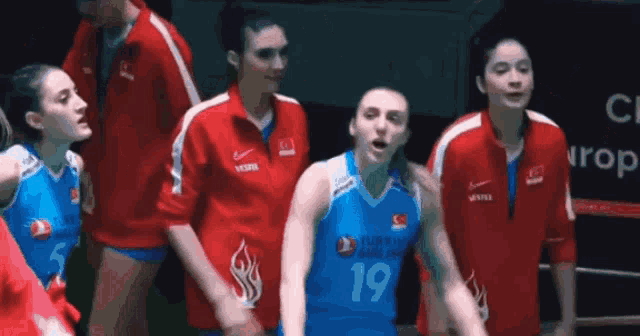 a female basketball player wearing a blue jersey with the number 19