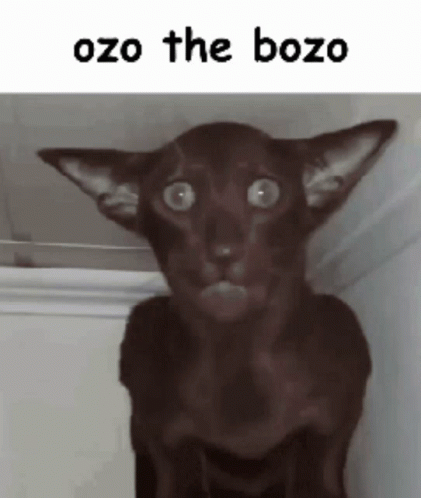 Ozo The Bozo Ozen GIF - Ozo The Bozo Ozen Bozo GIFs