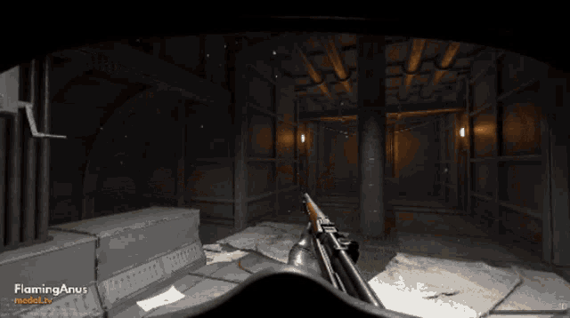 a video game is being played with flaminganus on the bottom right