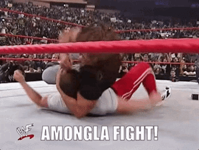 two men are wrestling in a wrestling ring and the words amongla fight are on the bottom of the screen .