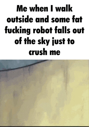 me when i walk outside and some fat fucking robot falls out of the sky just to crush me .